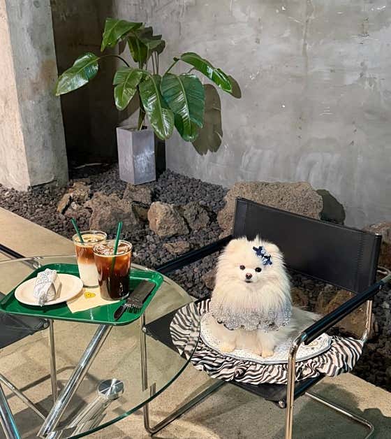 카페 아르토 사진