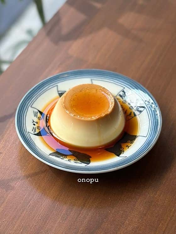 오노푸 사진