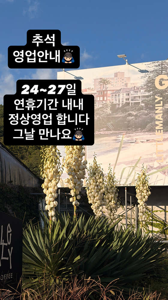 리틀맨리 사진