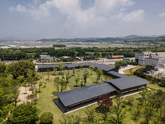 들꽃숲 사진