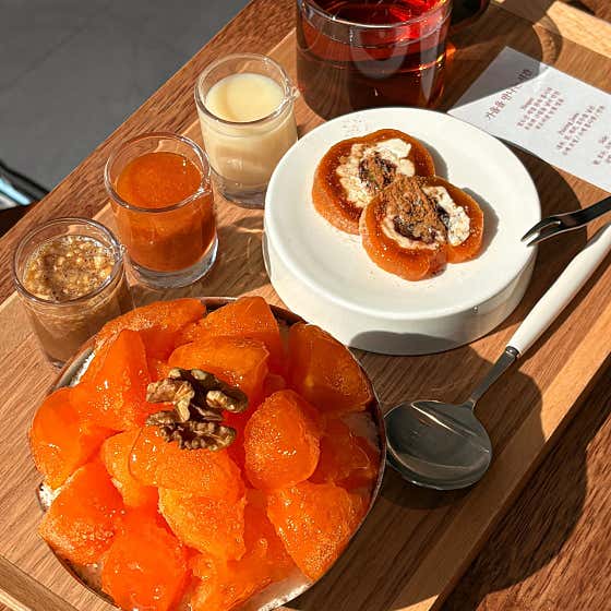 스노우벨 사진