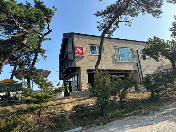 지천 솔숲카페 사진