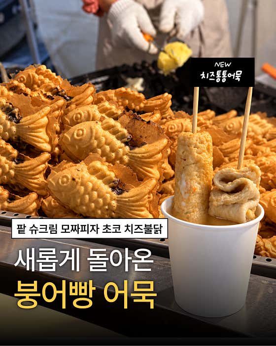 카세트 사진