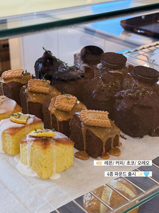 포지션 사진