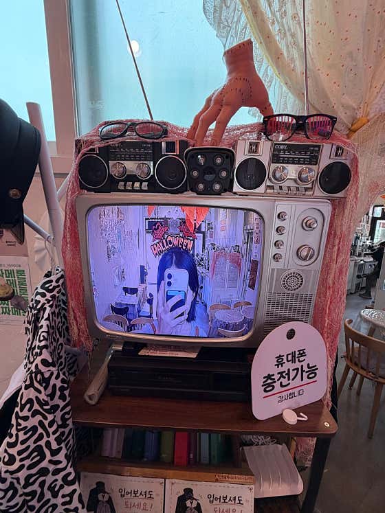 노블롱 사진