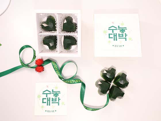 꼬모또르 사진