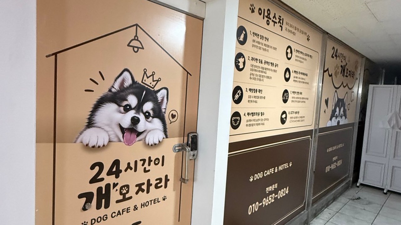 24시간이 개모자라