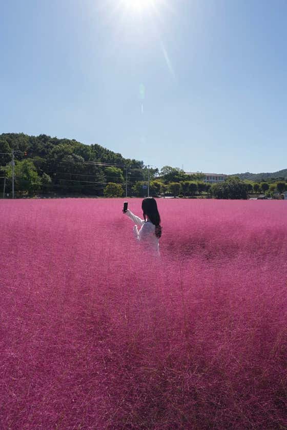카페지새울 사진