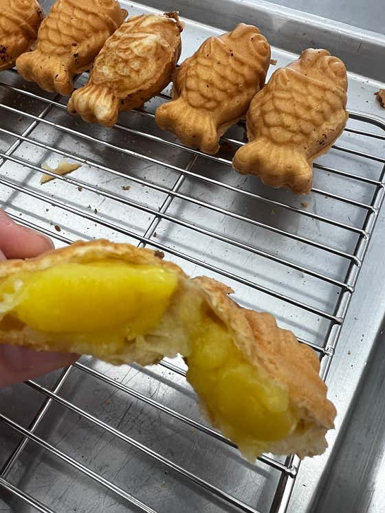커피학개론 사진