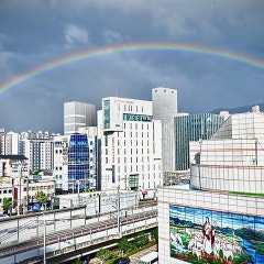 순복음안락교회