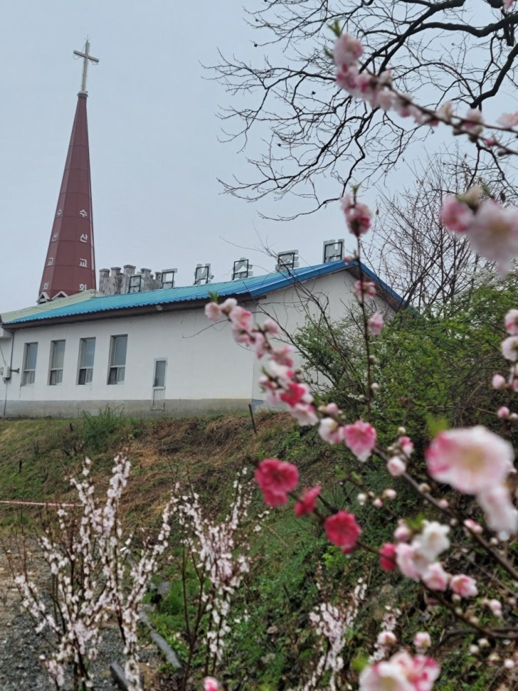세종수산교회 사진 2