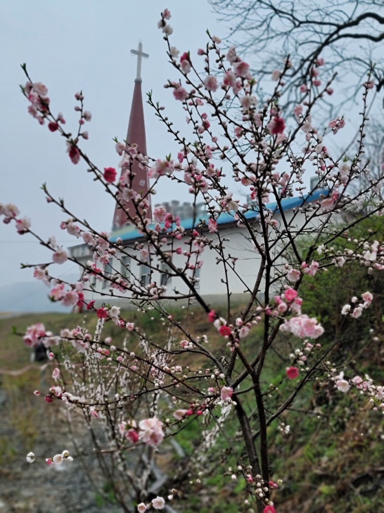세종수산교회 사진 3