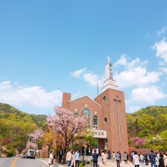 통리교회
