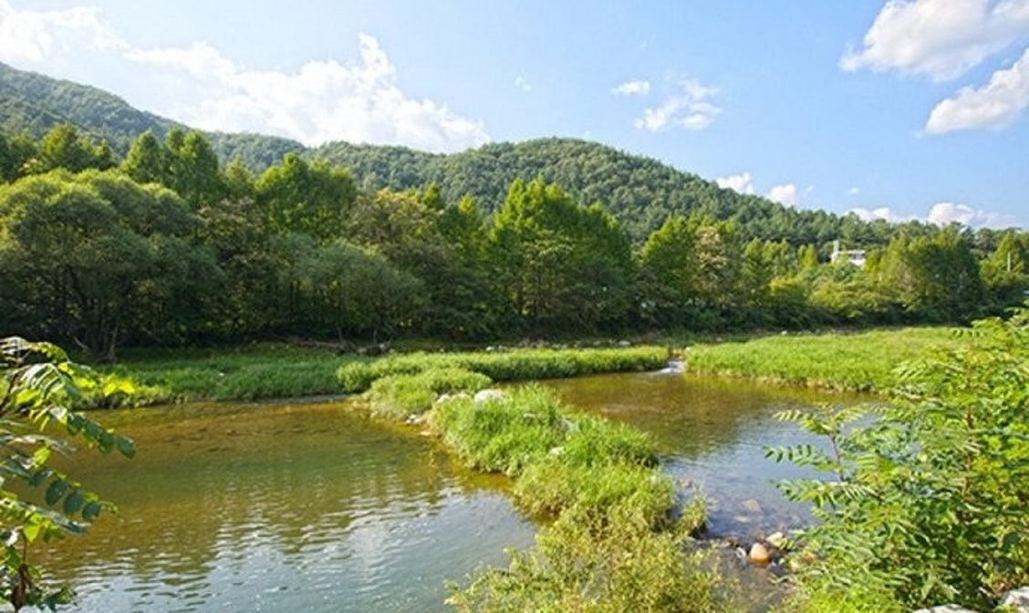 애화몽 펜션, 양평 (2024-06-28~2024-06-29, 1박, 2인) 애화몽 펜션, 대한민국