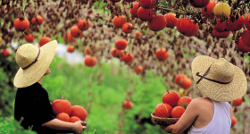 상품정보-산음휴양림 달빛마을