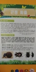 체험-꽃무지에 원팜