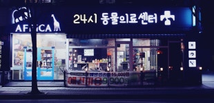 소개 / 인사말-아프리카동물병원
