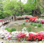 은평구 신사동 현대1차APT-영일공인중개사
