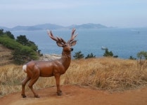 홈-이수도민박 가고파민박
