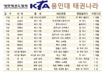 교육과정-용인대 태권나라