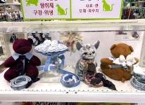함께하는 펫타운-펫타운