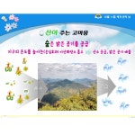 세계 산의 날-서울백산초등학교병설유치원