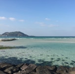 주변정보-구엄543