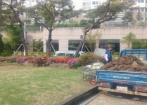 다사 숲속예은유치원-예원잔디조경수유통농원