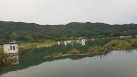 종점 조황(2017)-충주호(충주댐) 종점낚시터