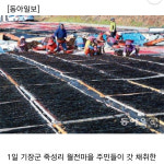 기사/방송-기장미역 월전건어물