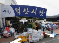 주변 관광 및 이용정보-대포숲 캠핑 펜션 민박