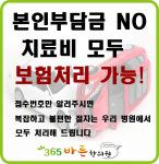 자동차사고보험,교통사고보험-365바른한의원