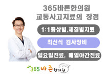자동차사고보험,교통사고보험-365바른한의원