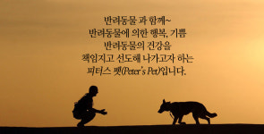 회사소개-피터스펫 반려동물 해피몰