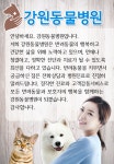 병원소개-강원동물병원