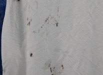 얼룩제거-얼룩빼기이박사 별내 세탁소