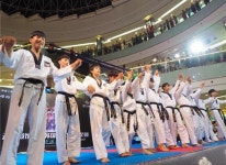 태권V시범단 소개-왕호태권도 태권V시범단