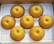 농장소개-호준이 장터농장