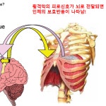 센터 사진-골프 메디컬트레이닝센터
