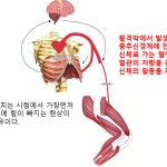 센터 사진-골프 메디컬트레이닝센터