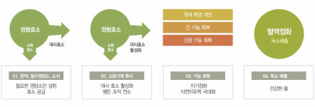 청혈해독-김해신세계한의원
