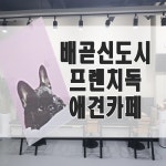 Pet1st 가족-펫퍼스트