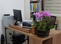 Inside office-삼성동다온공인중개사사무소