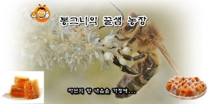 꿀샘농장-봉그니의 꿀샘 농장