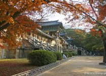 주변정보-화랑