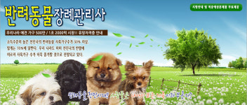 반려동물관련-유망자격증 무료자료
