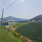 풍경-농업회사법인 (주) 거인식품