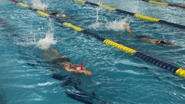 교육과정-SM swimming