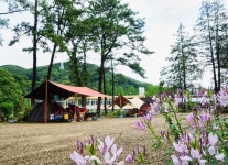 외부전경-숲들내자연놀이학교 글램핑
