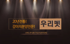 메인-강아지분양 애견분양 우리펫